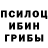 Галлюциногенные грибы мицелий C'mon, man.