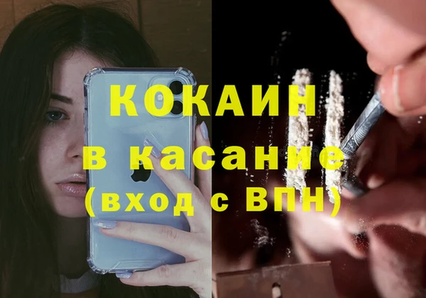 ПСИЛОЦИБИНОВЫЕ ГРИБЫ Алексин