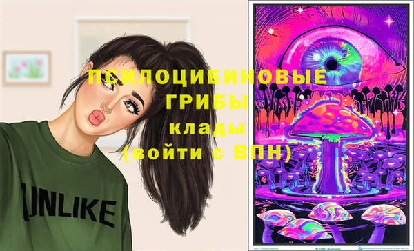 круглые Аркадак