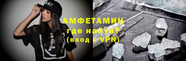 прущие грибы Новозыбков