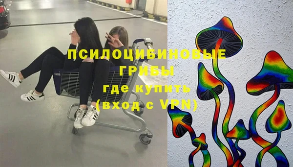 гидропоника Алзамай