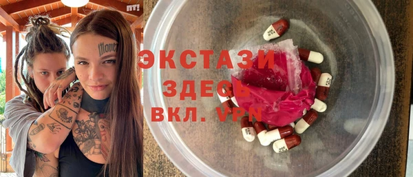 прущие грибы Новозыбков