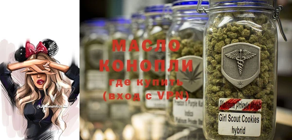прущие грибы Новозыбков