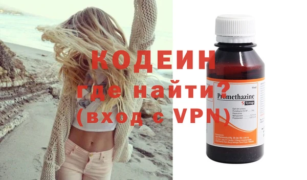 прущие грибы Новозыбков