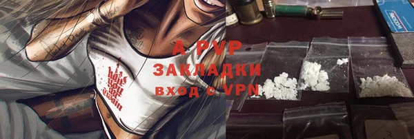 ECSTASY Новодвинск